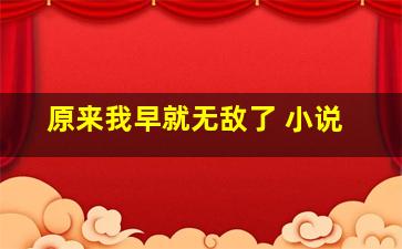 原来我早就无敌了 小说